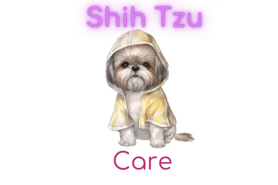 Shih Tzu Care-2