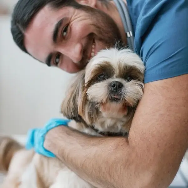 Shih Tzu Vets
