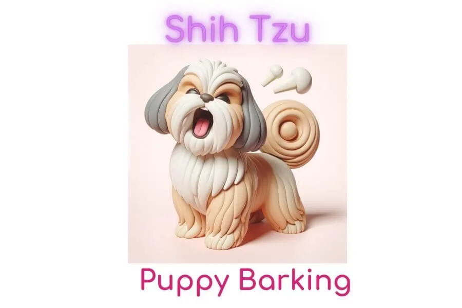 Shih Tzu Puppy Barking loud