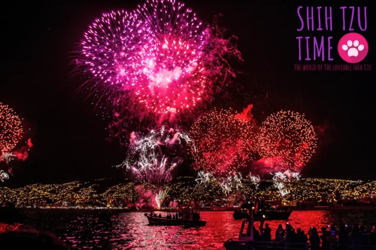 Fireworks – Preparing and Comforting Your Shih Tzu