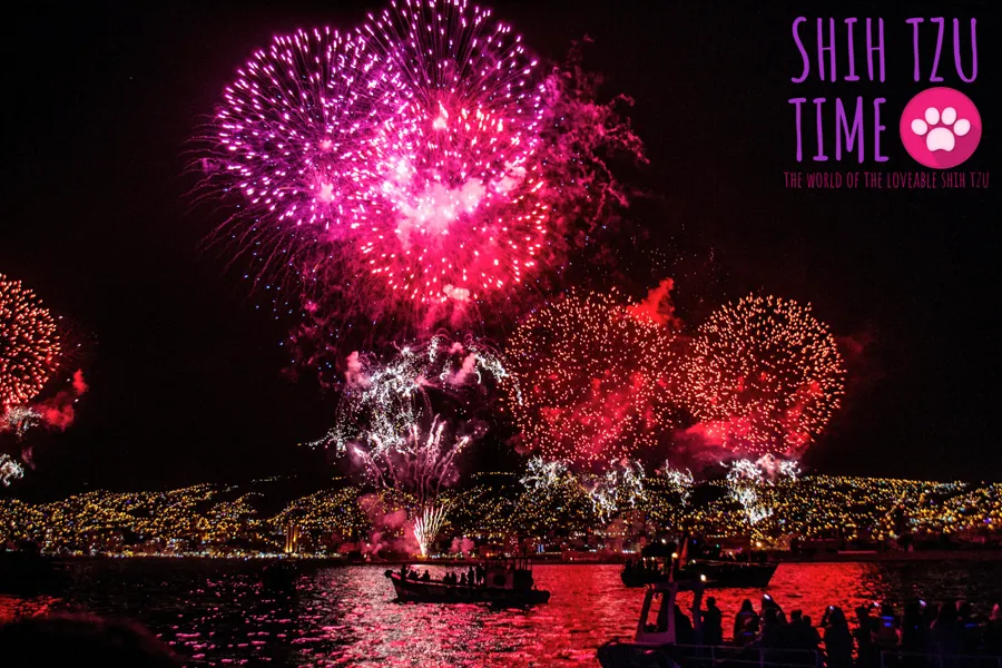 Fireworks – Preparing and Comforting Your Shih Tzu