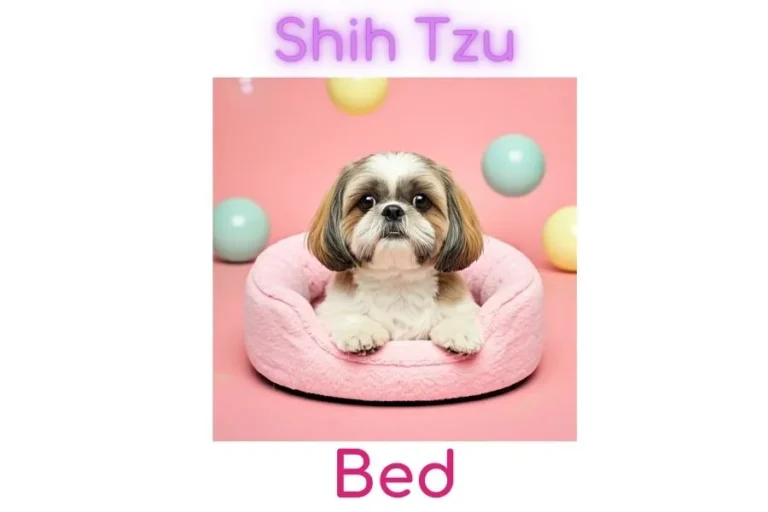 Shih Tzu Bed