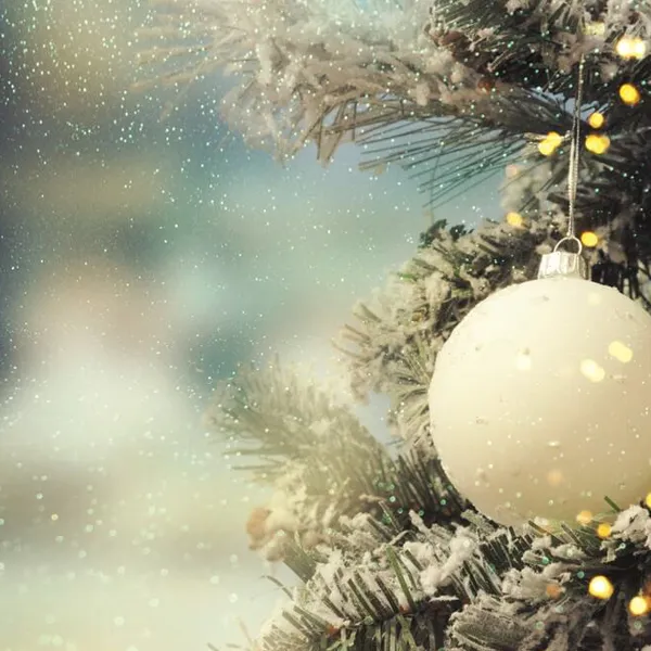 Is spray snow bad for dogs? Shih Tzu Christmas Home & Decor Dangers - Spray Snow
