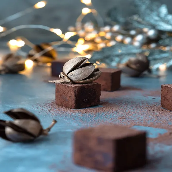 Shih Tzu Food Dangers - Chocolate