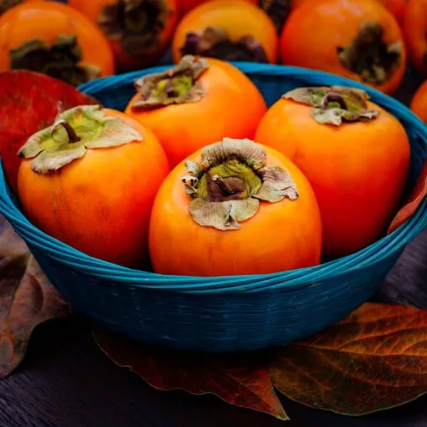 Shih Tzu Food Dangers - Plums, peaches, and persimmons