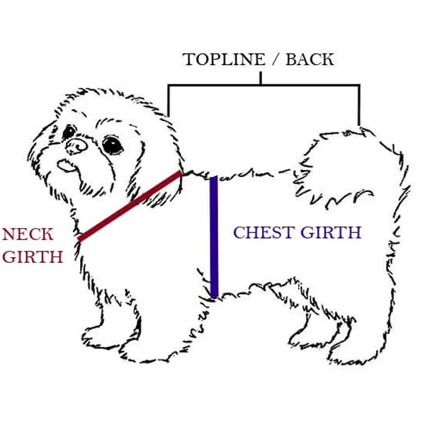 Shih Tzu clothese measurement
