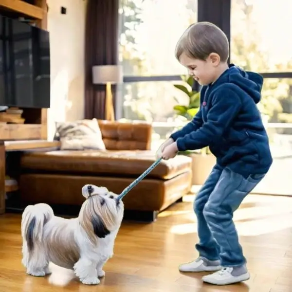 toys for shih tzu
