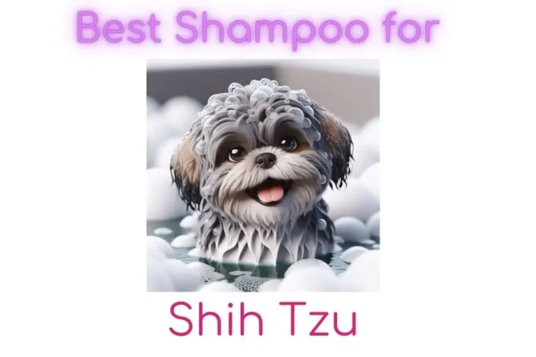 Best shampoo for Shih Tzu