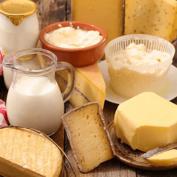 S⁬hih Tzu - Dairies - Dangerous Food