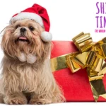 Shih Tzu Gifts For Christmas