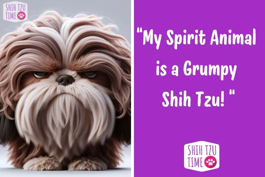 shih tzu quote gallery