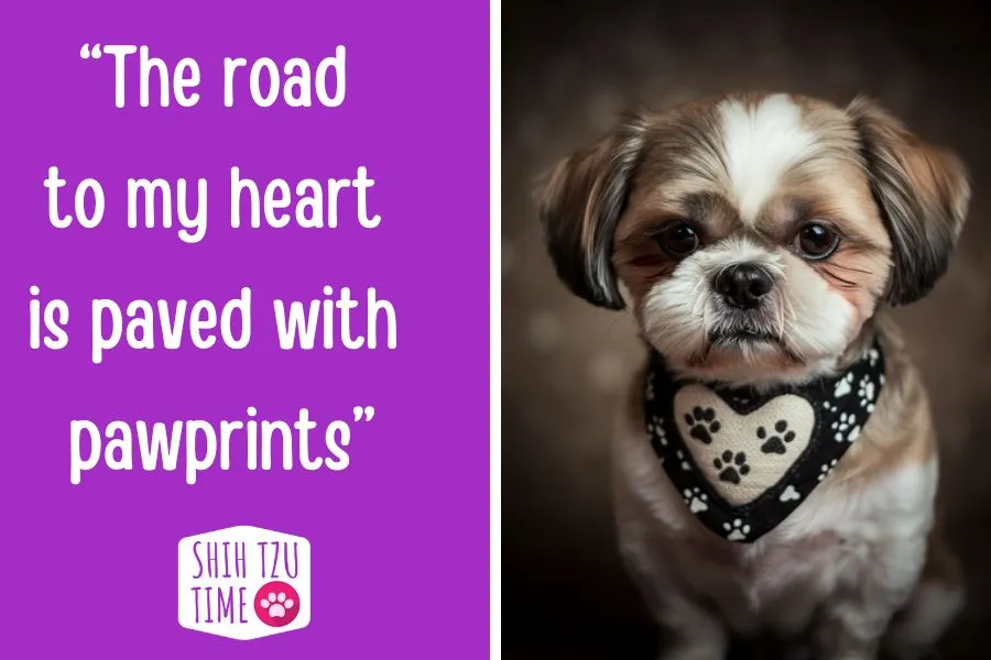 The road to my heart quote