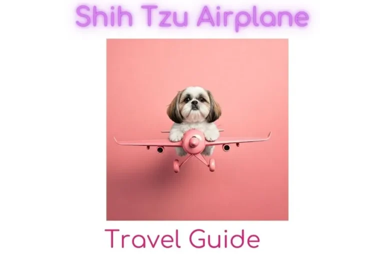 Shih Tzu Airplane
