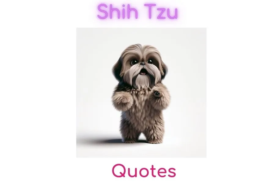 Shih Tzu Quotes