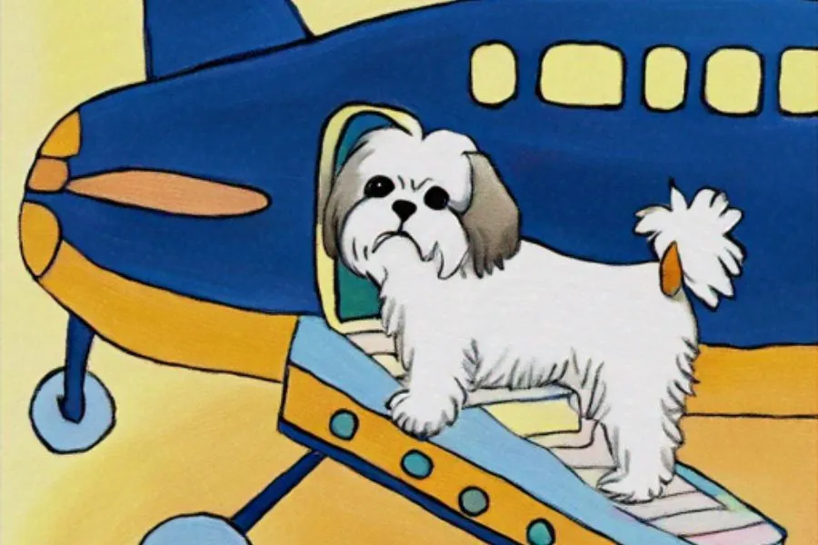 Shih tzu air travel