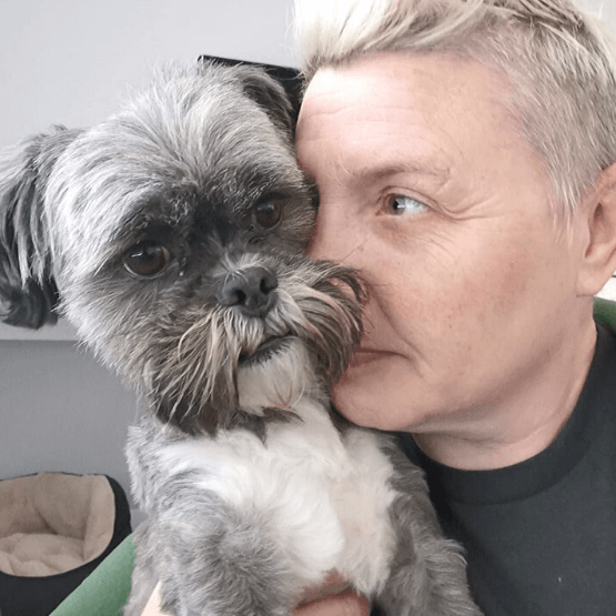 about coco shih tzu