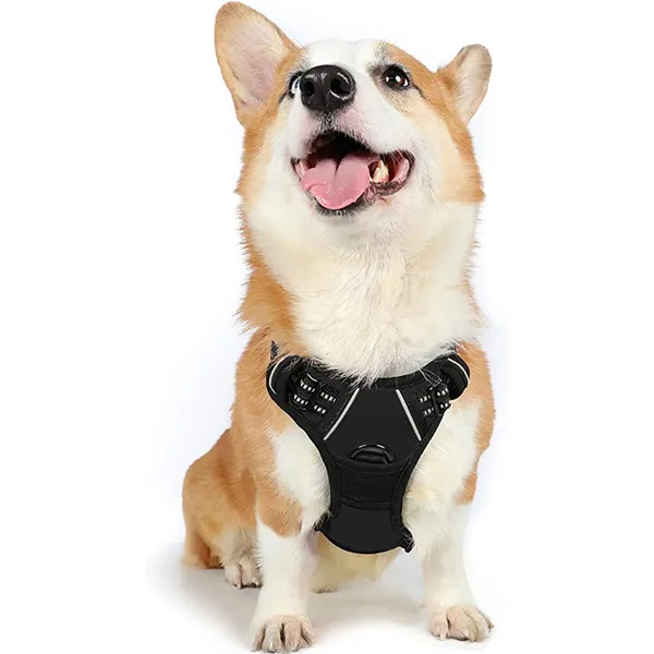 Shih Tzu Rabbitgoo Harness