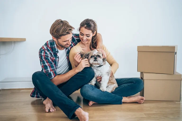 Can a Shih Tzu Live in an Apartment