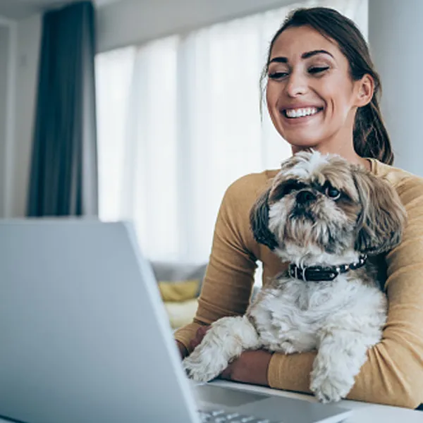 Shih Tzu and House
