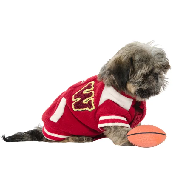 Shih Tzu Halloween Custome soccer player
