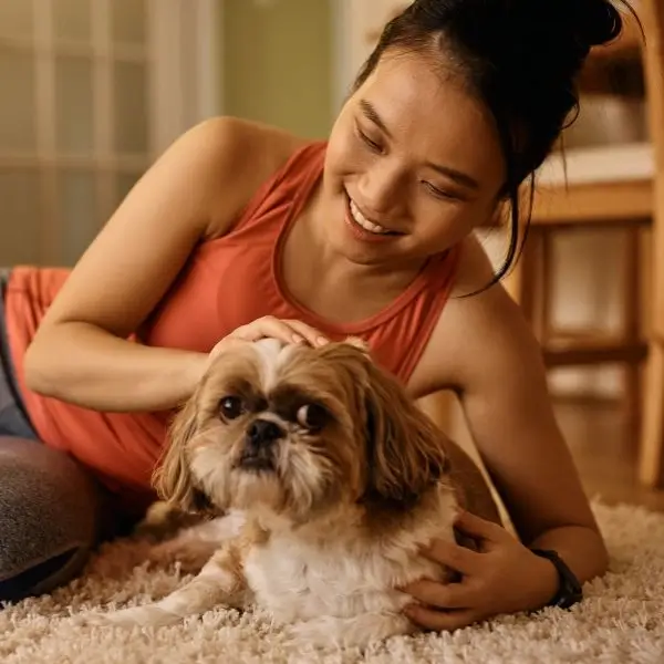 Dog body language